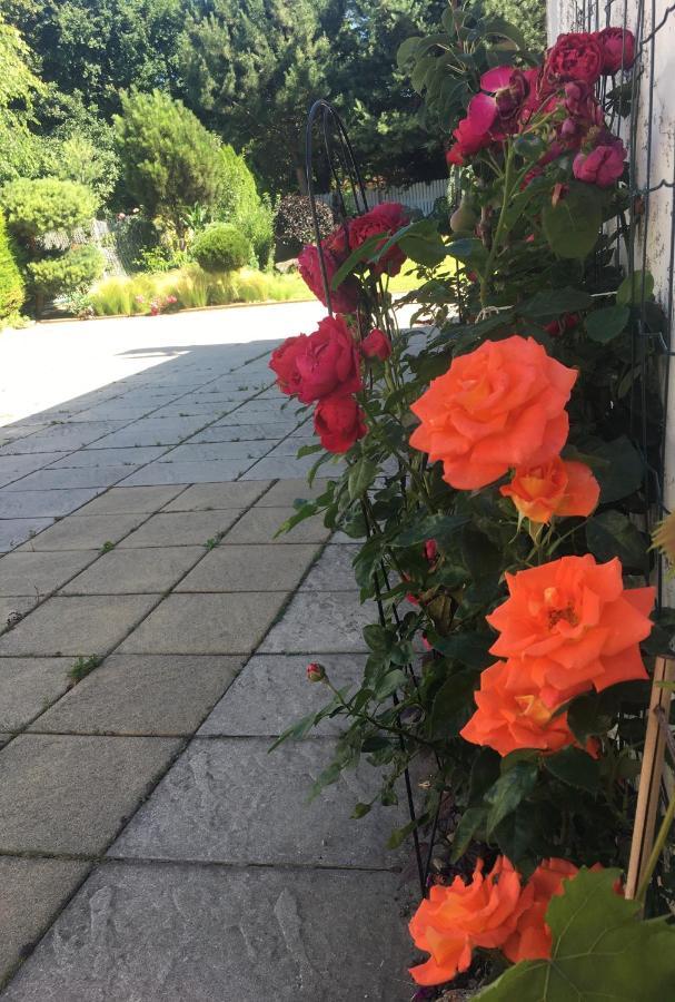 Klidne A Utulne Ubytovani Brno Stary Liskovec Kültér fotó